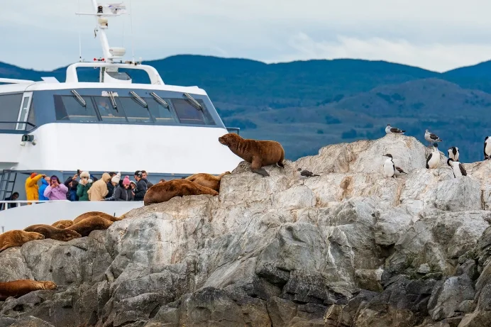 Turistas observan lobos marinos y cormoranes desde un barco en un islote rocoso cerca de Ushuaia, en el Canal Beagle.