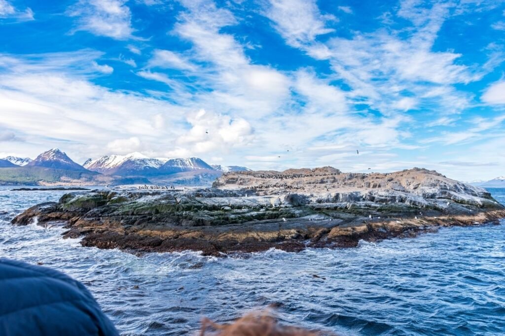 Islote rocoso con aves marinas y montañas nevadas al fondo, visto desde el catamarán en el Canal Beagle, Ushuaia