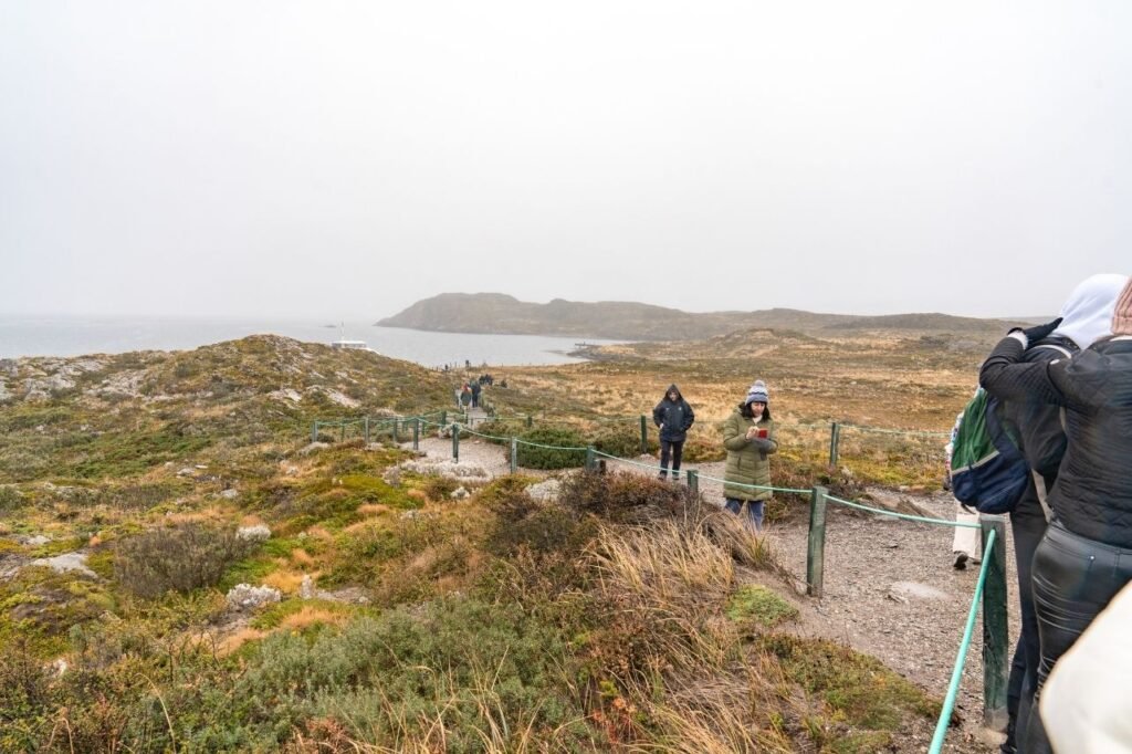 Sendero de grava con sogas verdes entre pastizales, con visitantes y el canal con bruma al fondo en una isla del Canal Beagle, Tierra del Fuego