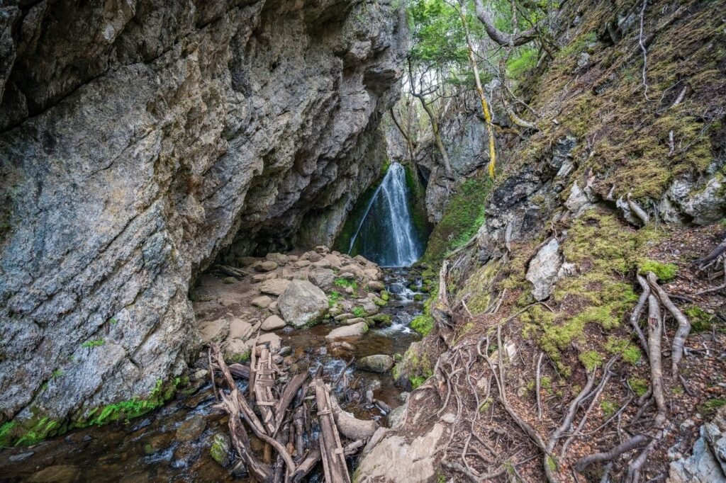 Cascada del Duende cayendo entre paredes de roca, musgo y raíces en un bosque de Tierra del Fuego