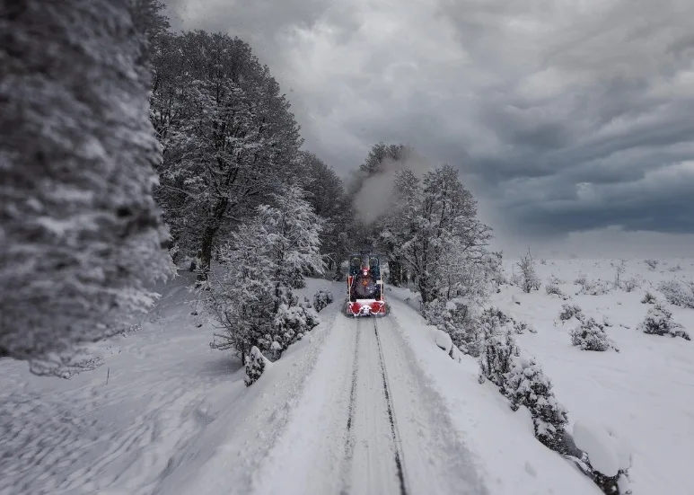 Locomotora del Tren del Fin del Mundo avanzando entre árboles cubiertos de nieve en el Parque Nacional Tierra del Fuego.