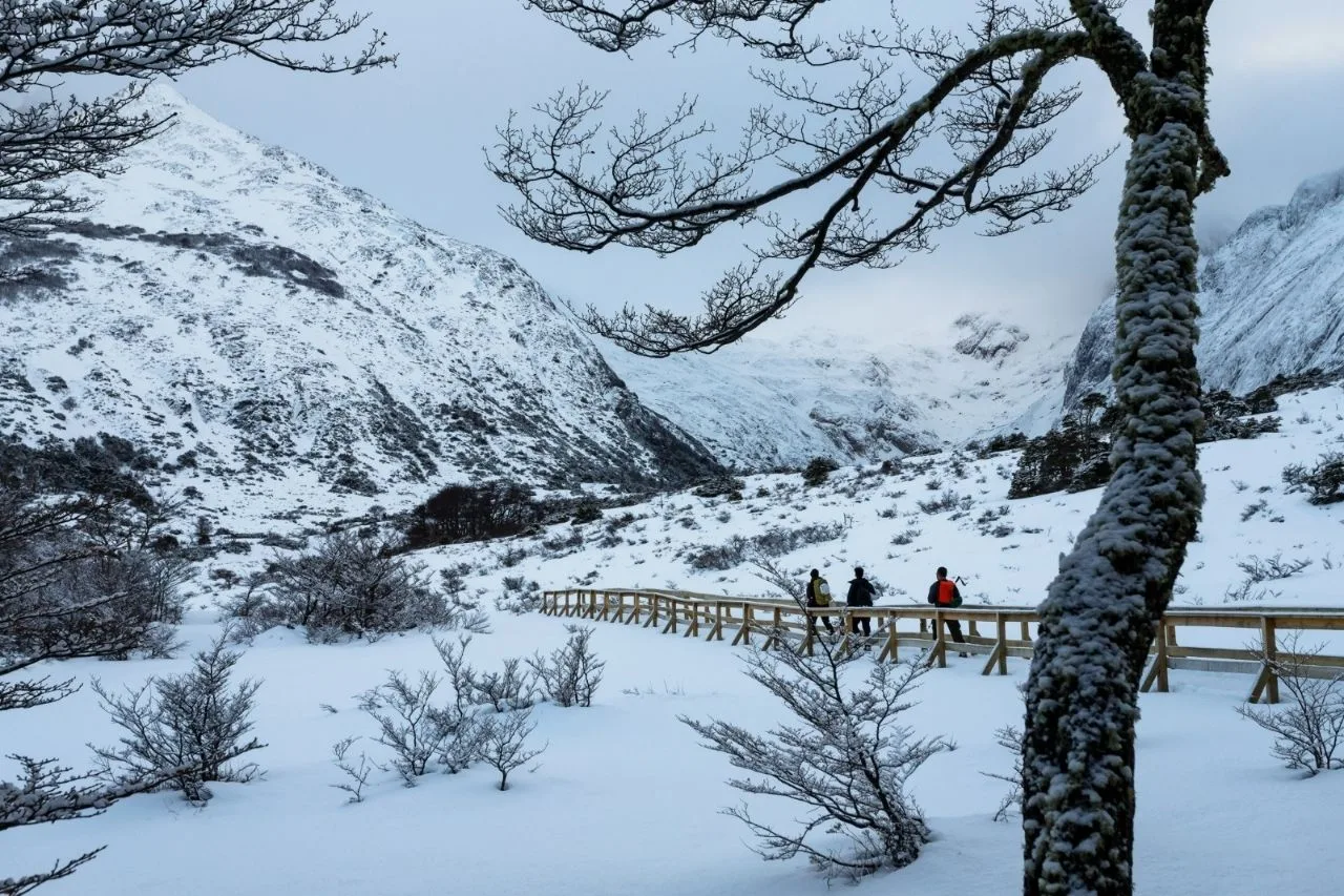 Bosque de lengas nevado camino a Laguna Esmeralda