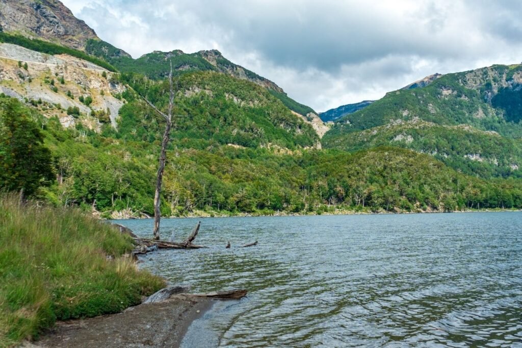 Orilla del lago Escondido de aguas calmas rodeado de montañas cubiertas de bosque, con un tronco seco y ramas caídas en la costa, en Tierra del Fuego.