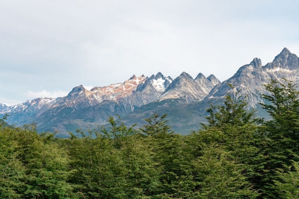 Cumbres rocosas y puntiagudas con manchas de nieve y tonos rojizos sobre un bosque de lengas en la Cordillera Fueguina, Tierra del Fuego.