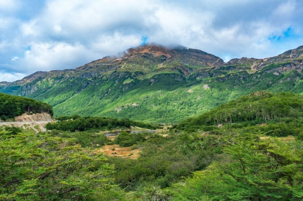Montaña de laderas verdes y cumbre rojiza cubierta parcialmente por nubes, sobre un valle con bosque y un pequeño turbal en Tierra del Fuego.