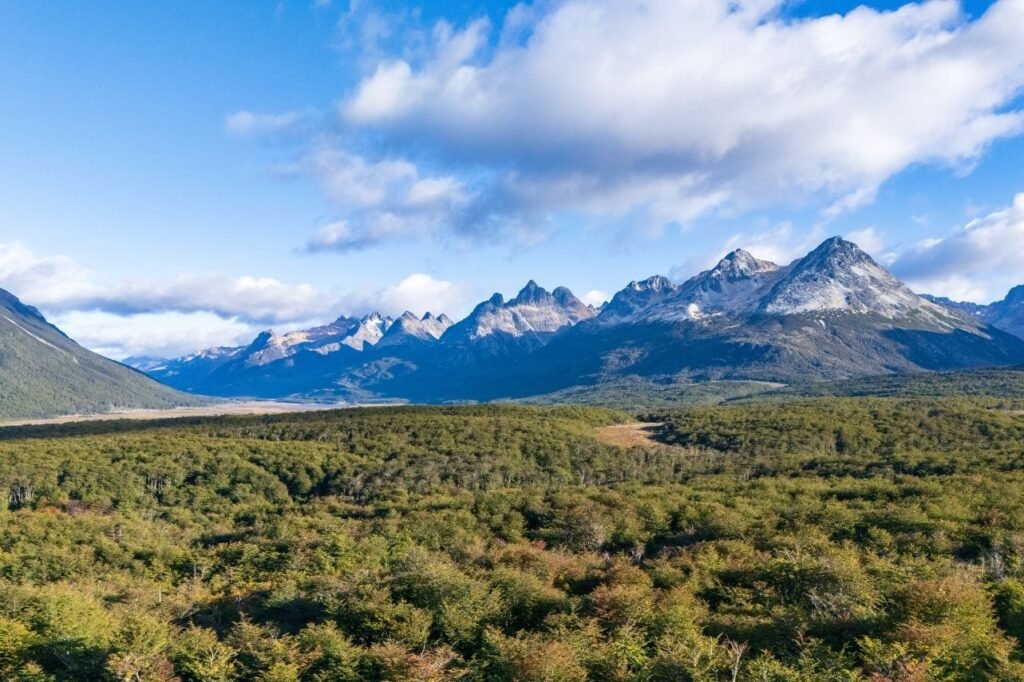 Vista panorámica de la cordillera fueguina con picos rocosos y nieve sobre un extenso bosque de lengas y cielo azul en Tierra del Fuego.