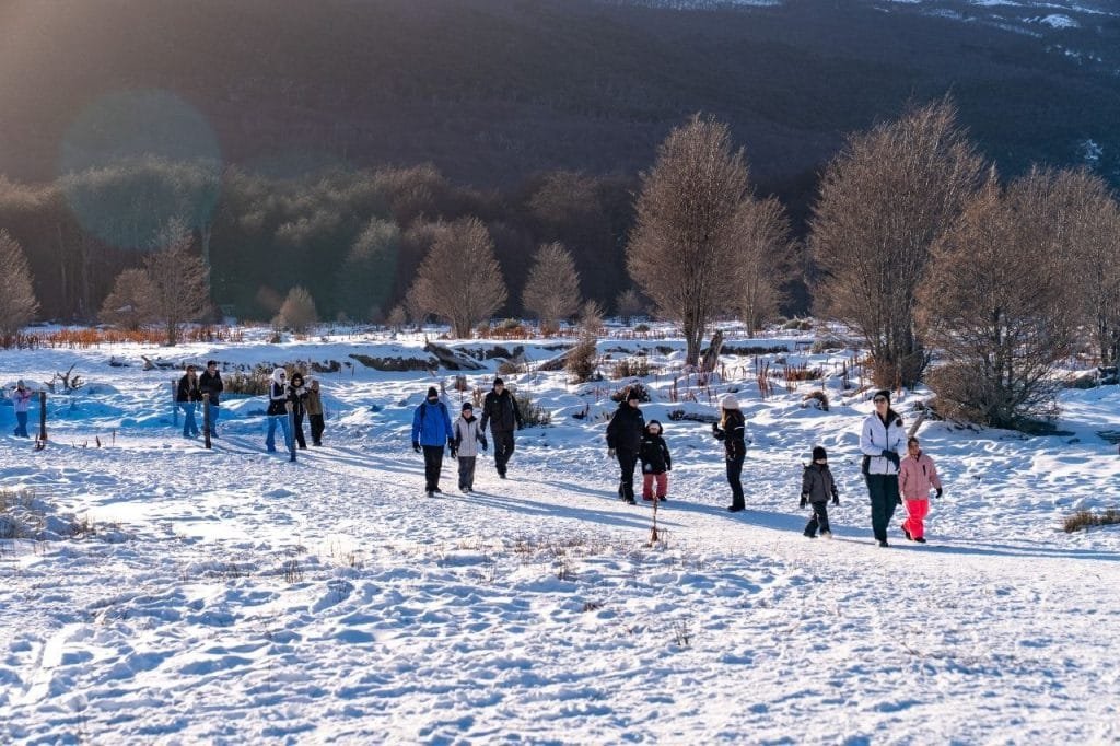 Turistas y familias caminando por un sendero cubierto de nieve entre árboles en Park Austral, Ushuaia.