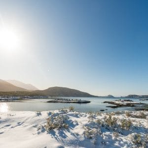 Paisaje soleado de Bahía Lapataia en invierno, con el mar en calma, montañas nevadas y la costa cubierta de nieve bajo un cielo azul despejado.