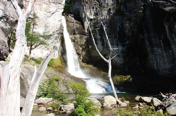 Cascada Chorrillo del Salto en El Chaltén, rodeada de bosque autóctono y paredes de roca.