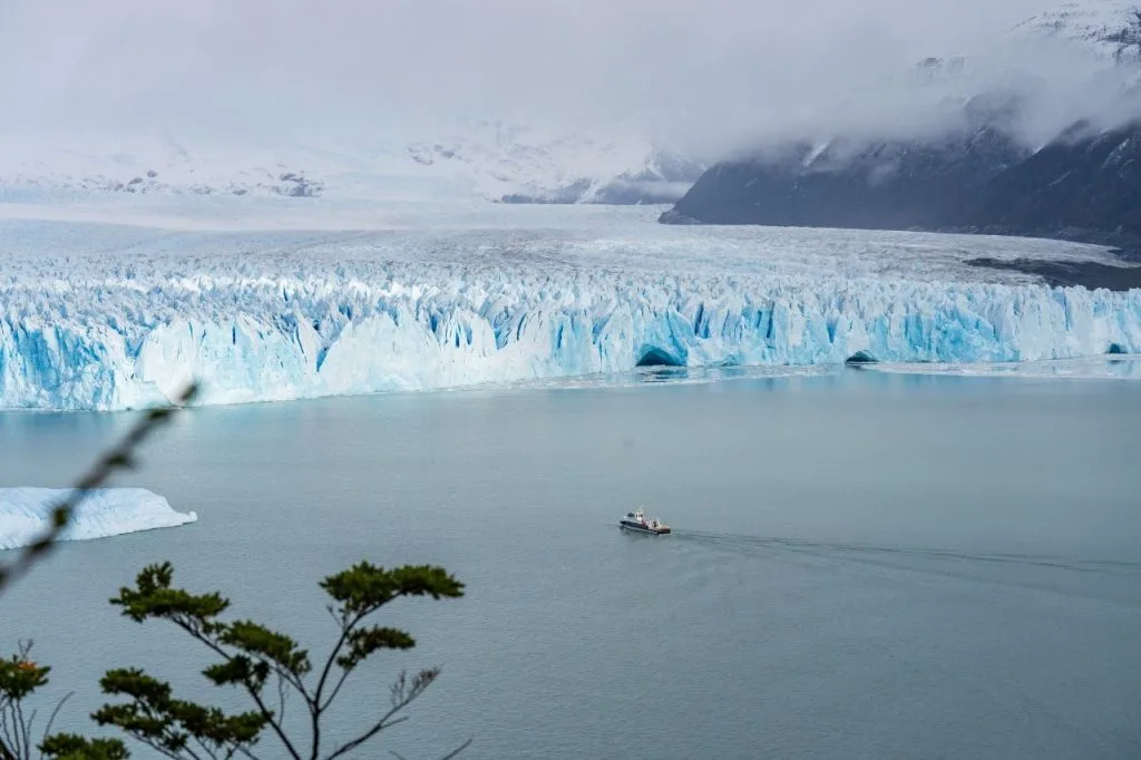 Panorámica elevada del Glaciar Perito Moreno y un barco navegando a la distancia, enmarcado por ramas de árboles nativos.